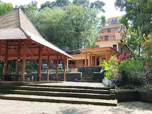 Gua Maria Sendang Purwaningsih