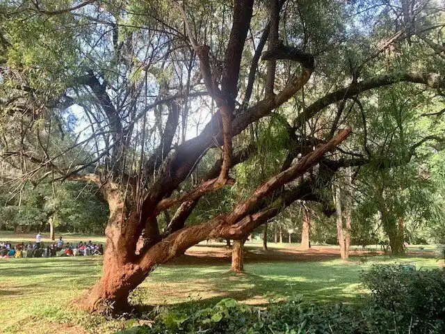 โรงแรมใกล้Nairobi Arboretum