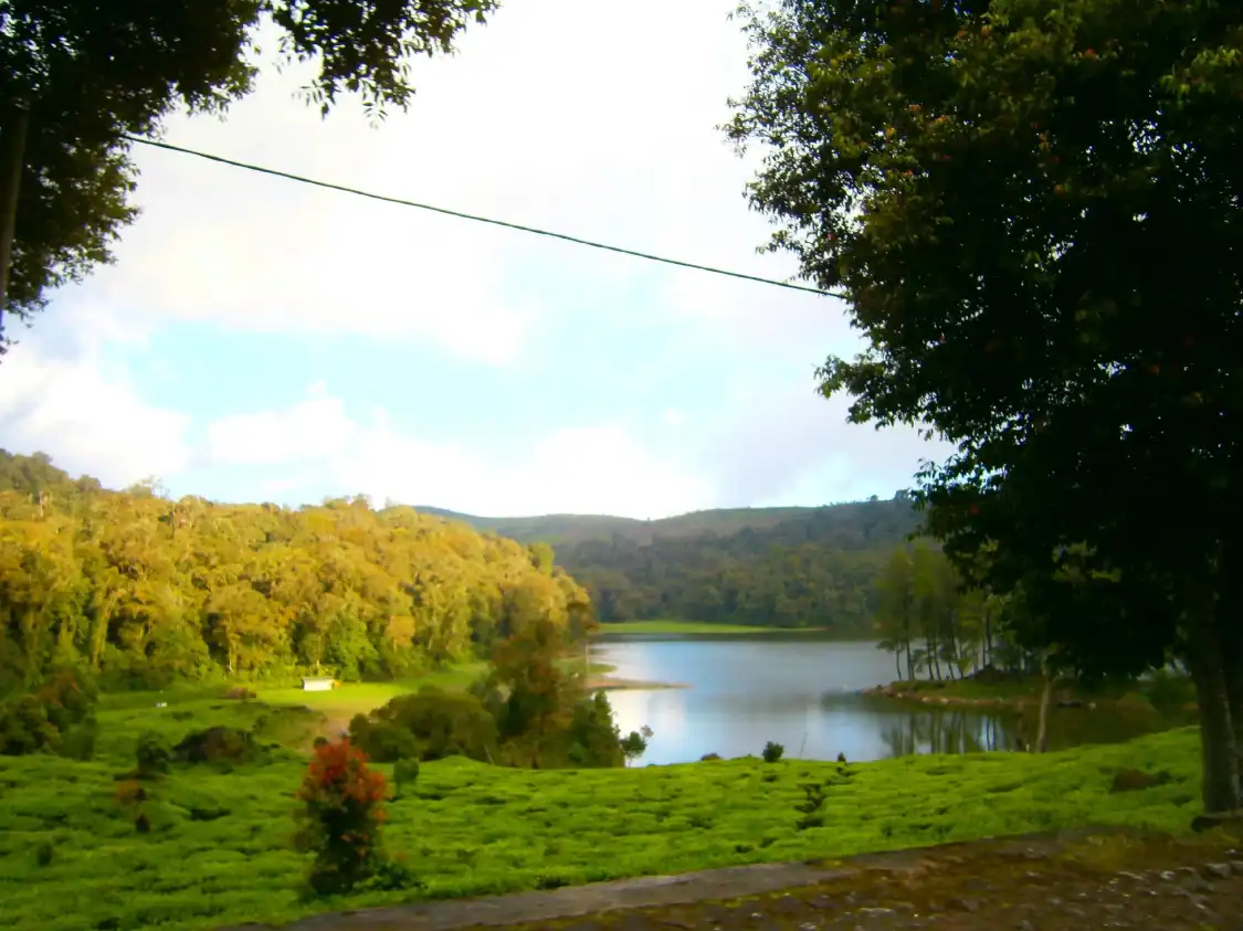 Hotels near Patenggang Lake