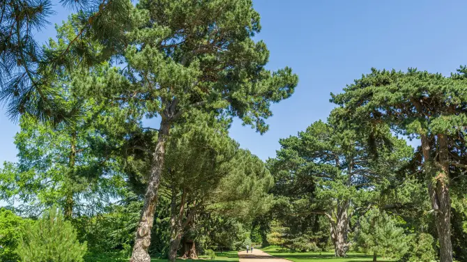 5_Cambridge University Botanic Garden