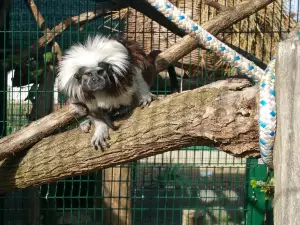 Živalski vrt Sikalu ZOO