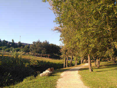 Guimaraes City Park