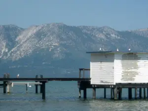 Thomas F. Regan Memorial City Beach