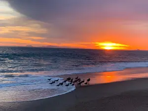 Point Mugu State Park