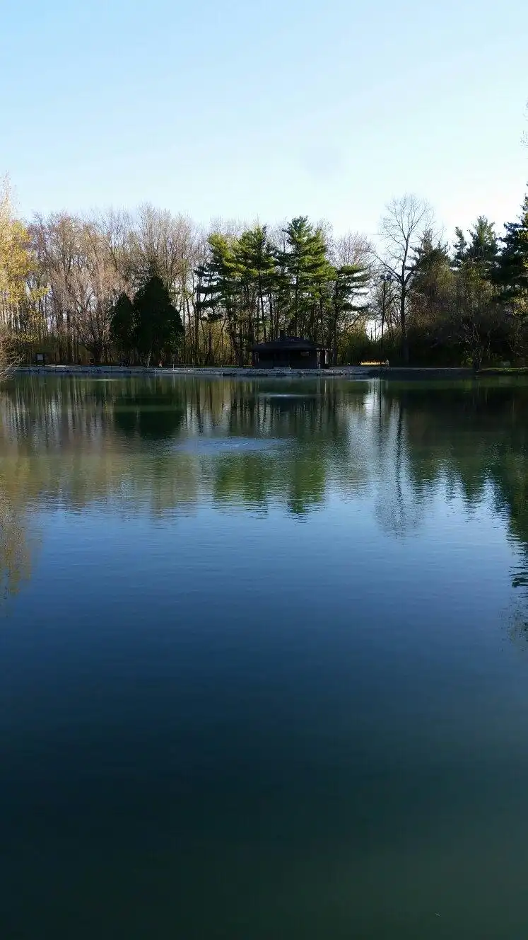 Hotels near Pearson Metropark