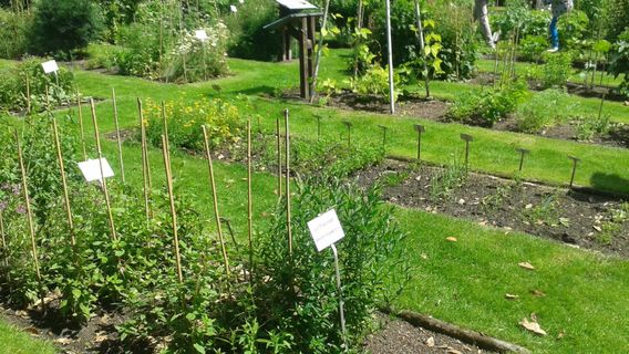 - TU Brunswick Botanical Garden