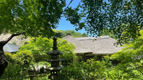 淨智寺