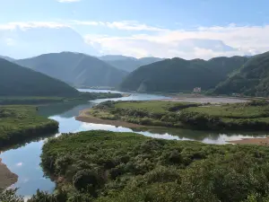 住用川マングローブ林