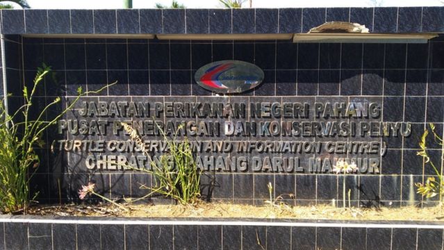 Cherating Turtle Sanctuary Centre