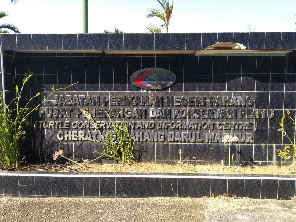 Hotels near Cherating Turtle Sanctuary