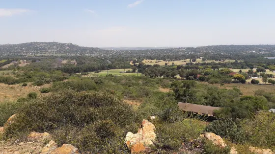 Melville Koppies