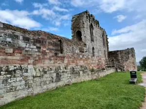 Stafford Castle