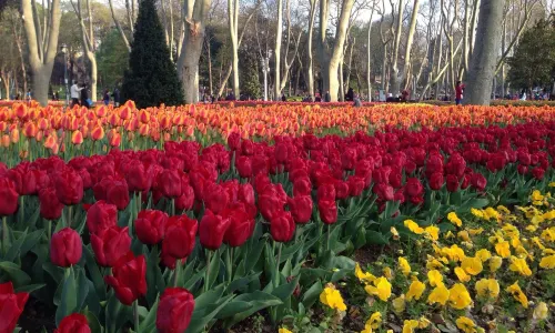 Gülhane-Park