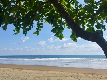 Playa Matapalo