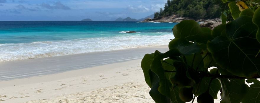 Baie Lazare