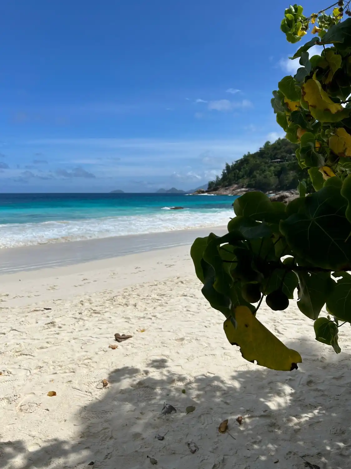 Hotels near Petite Anse