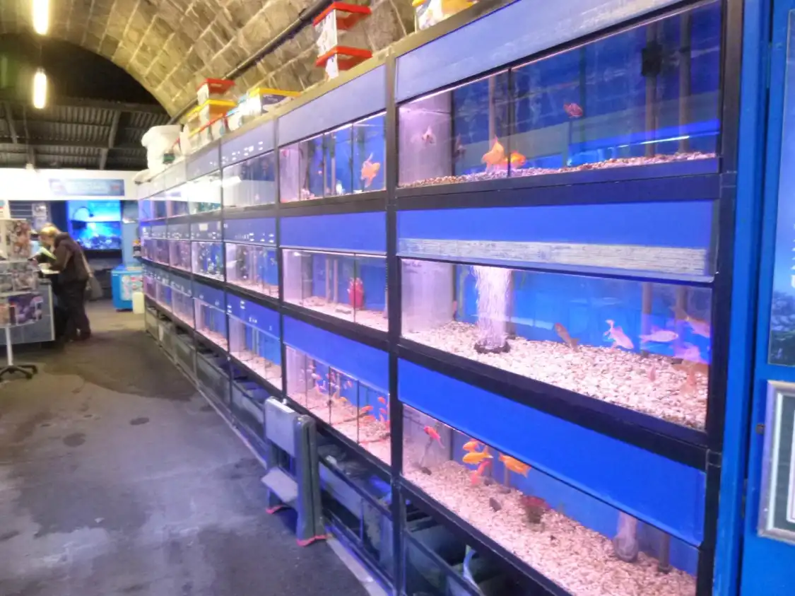 Hotels near Guernsey Aquarium
