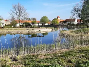 Schloss Schoeningen