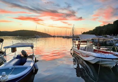 Sivota