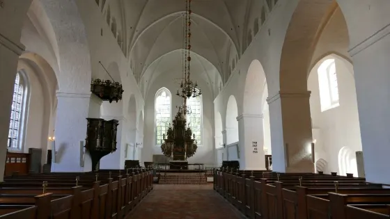 Sct. Catharinae Kirke Og Kloster