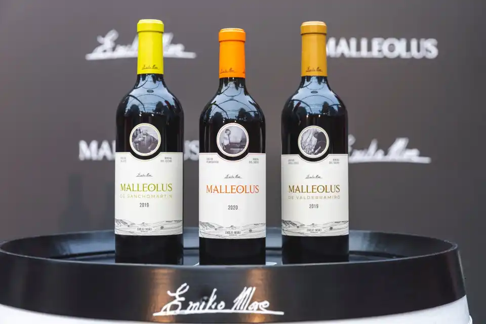 2_Emilio Moro Winery