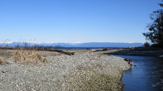 Miracle Beach Provincial Park
