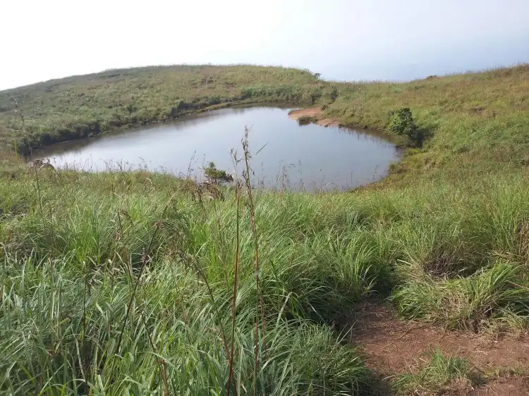 Hotels near Heart Lake