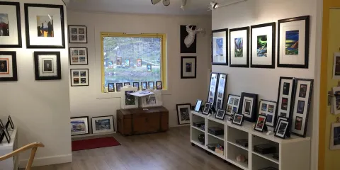 The Gallery - East of the Sun