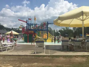 Discovery Island