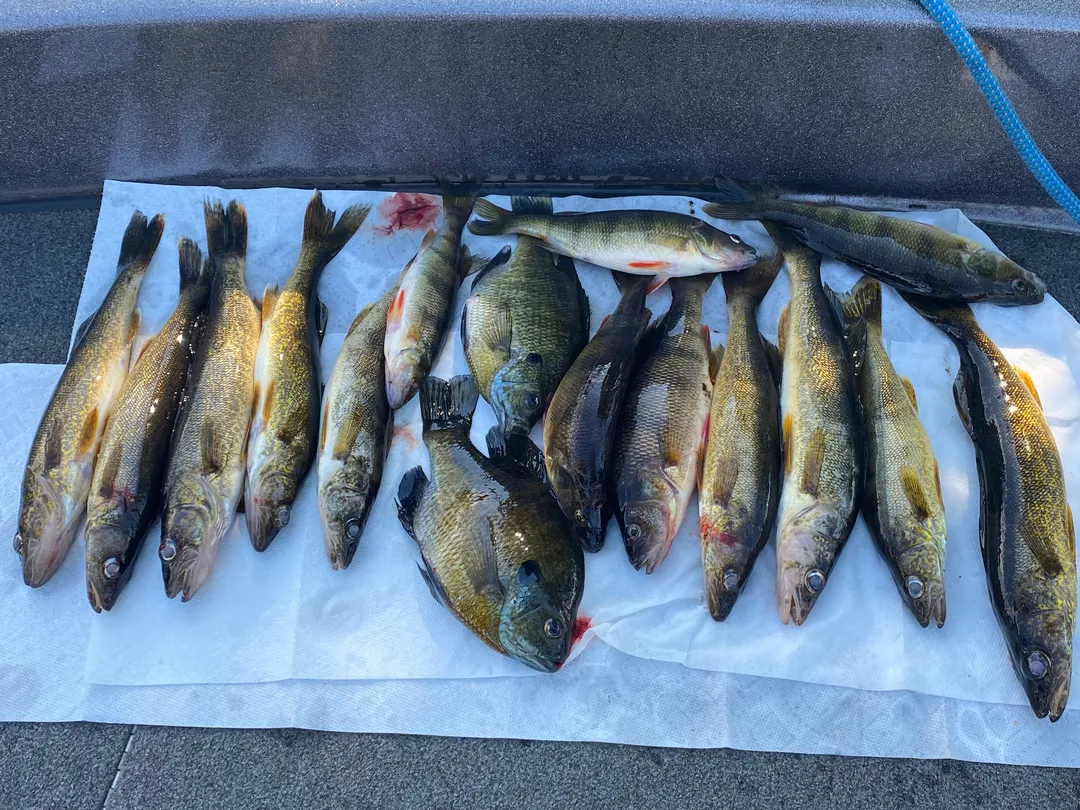 3_Bobber Down Guide Service