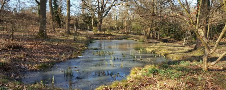 Trent Park