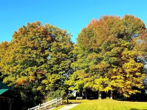 Proctor Park Conservation Area