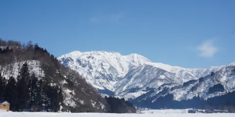 トミオカホワイト美術館