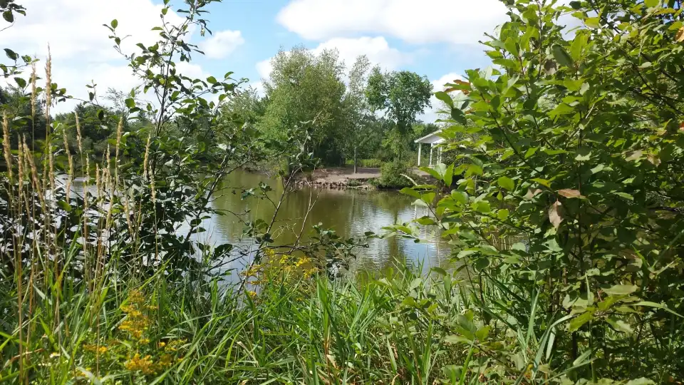 2_Mapleton Park