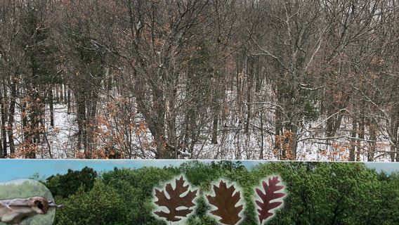 Sager Conservation Area