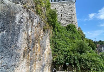 Aarburg Castle