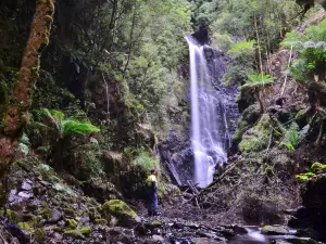 Philosopher Falls