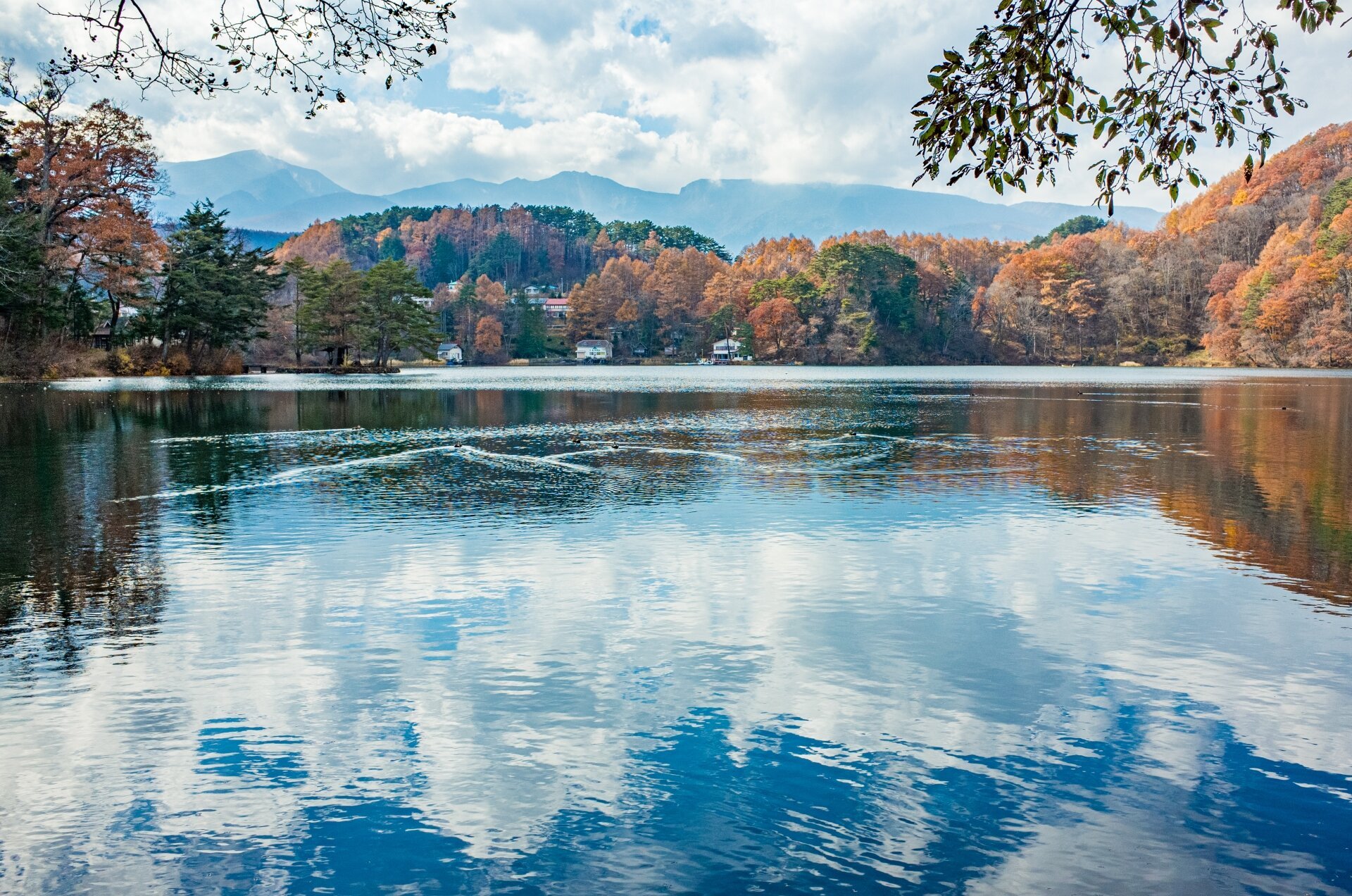 Koumi