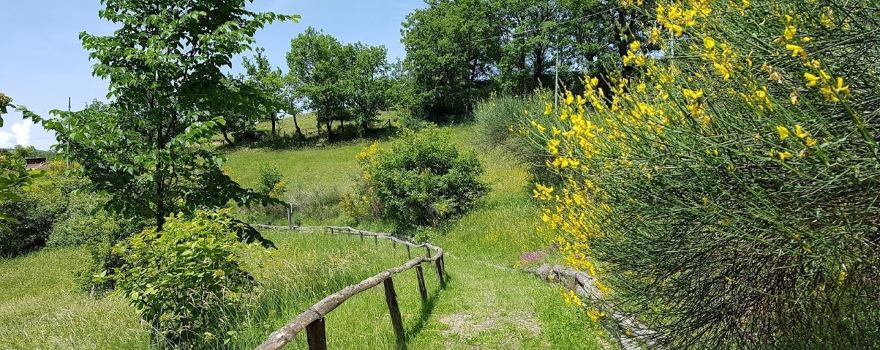 Riserva Naturale Regionale e Oasi WWF dei Ghirardi