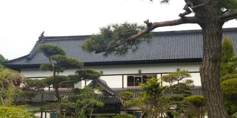 Kameda Memorial Park