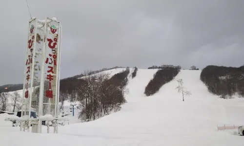 Pippu Ski Area