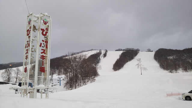 Pippu Ski Area