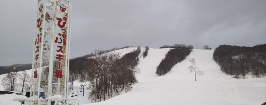 Pippu Ski Area