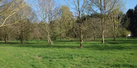 Lovell Quinta Arboretum