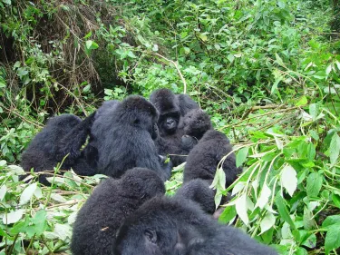 Kawira Safaris Ltd