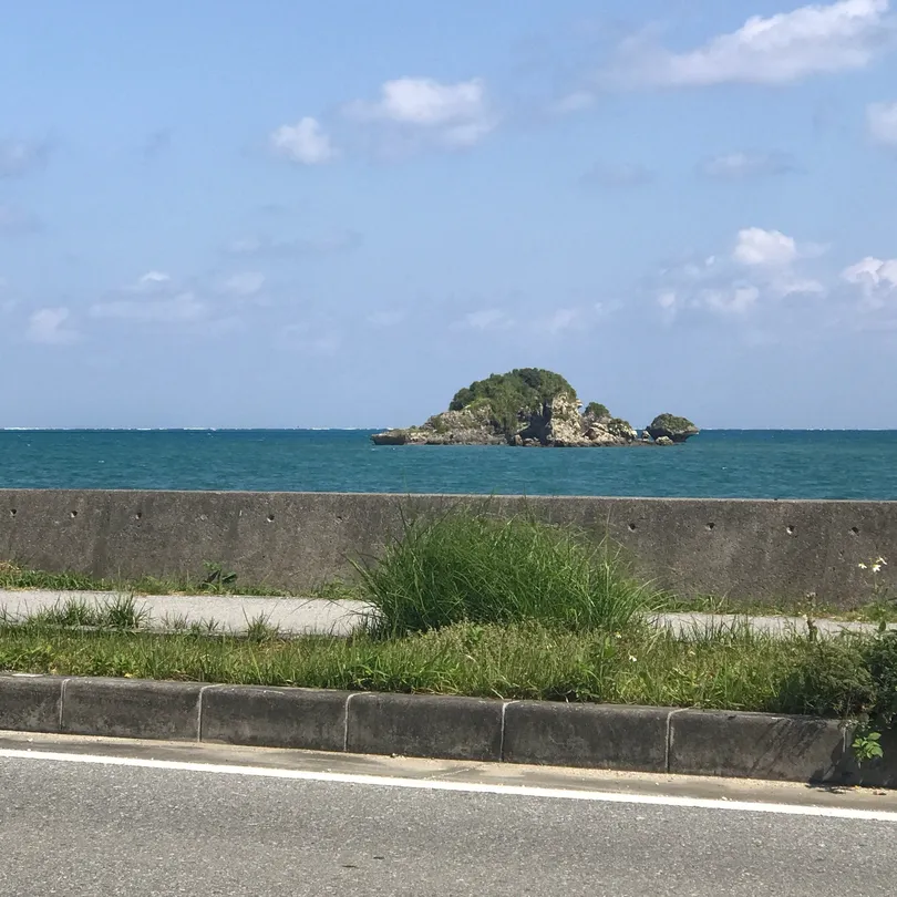 3_Umi-Budou henza Farm