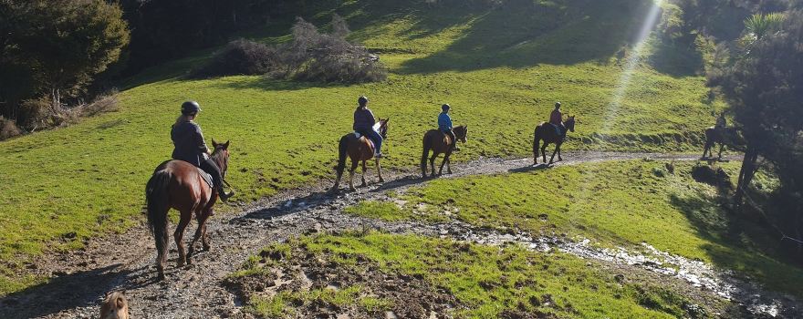 Ti Tree Hills Horse Treks