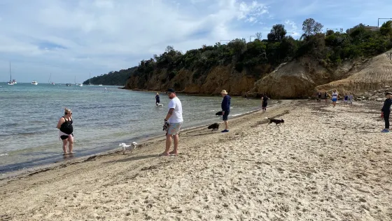 Tassells Cove