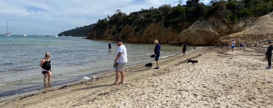 Safety Beach
