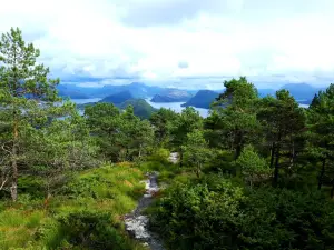 Brandsoyasen